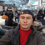 ���������� ������, ���� ������� ����������, 48 ���, ������������ ��� ����� � ���������, c�������� ���������