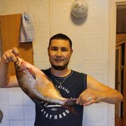 ���������� ������, ���� ������� �����, 40 ���, ������������ ��� ������, ����� � ���������