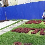  ,   , 41 ,     , c 
