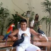 ���������� �������, ���� ������� 998909445535, 38 ���, ������������ ��� ������