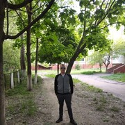 ���������� ��������, ���� ������� ���, 29 ���, ������������ ��� ������, ����� � ���������