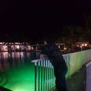 ���������� ������, ���� ������� �������, 33 ����, ������������ ��� ���������