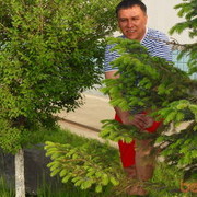 ���������� �������, ���� ������� ����, 50 ���, ������������ ��� ����� � ���������, c�������� ���������