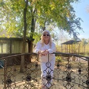 ���������� �������, ���� ������� ����, 48 ���, ������������ ��� c�������� ���������