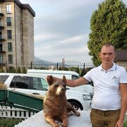 ���������� ��������, ���� ������� ����, 38 ���, ������������ ��� ������, ����� � ���������, c�������� ���������, ���������