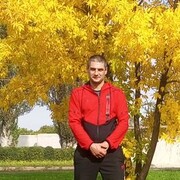 ���������� ������, ���� ������� ���������, 43 ����, ������������ ��� ������, ����� � ���������