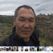  ,   Tolybai UA, 46 ,   ,   , c , 