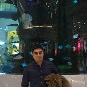  ,   , 37 ,  