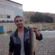  ,   SAR, 43 ,   , 