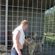 ���������� ������� ������, ���� ������� �����, 51 ���, ������������ 