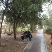 ���������� �������, ���� ������� ������, 41 ���, ������������ ��� c�������� ���������