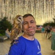 ���������� �����������, ���� ������� ���������, 41 ���, ������������ ��� ������, ����� � ���������