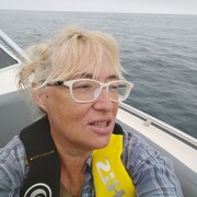  ,   , 58 ,   ,   