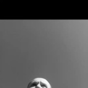 ���������� ������������, ���� ������� ���������, 32 ����, ������������ ��� ����� � ���������, c�������� ���������