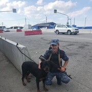 ���������� �������, ���� ������� ���������, 31 ���, ������������ ��� ������, ����� � ���������, ���������