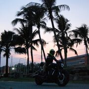  ,   Healer, 47 ,  