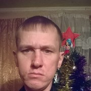  ,   ϸ, 41 ,     , c 
