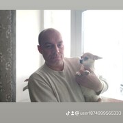  ,  , 44