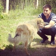  ,   Damin, 33 ,   ,   , c 