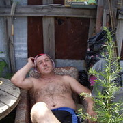  ,   , 65 ,   