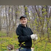 ���������� ����������, ���� ������� ������, 44 ����, ������������ ��� c�������� ���������