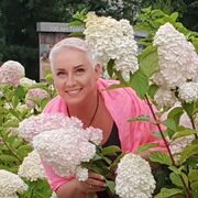  ,   , 56 ,   ,   