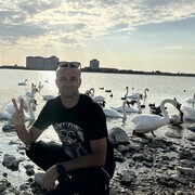 ���������� ���������, ���� ������� �������, 39 ���, ������������ ��� ������, ����� � ���������