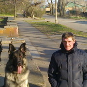 ���������� ������, ���� ������� �����, 50 ���, ������������ ��� ������