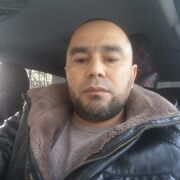 ���������� �����-���������, ���� ������� ����, 43 ����, ������������ ��� ������