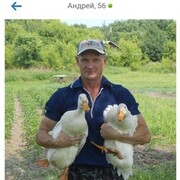  ,   , 58 ,   ,   , c 
