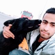 ���������� �����, ���� ����� ������ ����, 24 ����, ������������ ��� ������, ����� � ���������, c�������� ���������, ���������