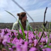 ���������� ����������, ������� ������, 28