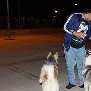 ���������� �������, ���� ������� IIRAKLI, 36 ���, ������������ ��� ������, ����� � ���������, c�������� ���������