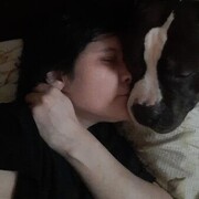 ���������� ������, ���� ������� �������, 38 ���, ������������ ��� ������, c�������� ���������