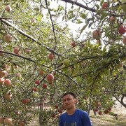 ���������� ����������, ���� ������� ����, 28 ���, ������������ ��� ������, ����� � ���������