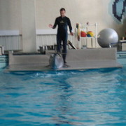 ���������� ������, ���� ������� �����, 47 ���, ������������ ��� ������, ����� � ���������, c�������� ���������