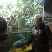   ,   , 62 ,  
