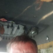 ���������� ����������, ���� ������� ���������, 42 ����, ������������ ��� ������, ����� � ���������, c�������� ���������, ���������