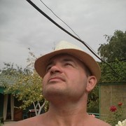  ,   , 51 ,   