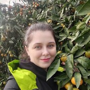  -,   , 33 ,   ,   