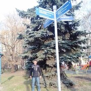 ���������� ������, ���� ������� ������, 50 ���, ������������ ��� ������, ����� � ���������