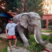 ���������� ������, ���� ������� ������, 42 ����, ������������ ��� ������, ����� � ���������