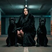 ���������� �������, �����