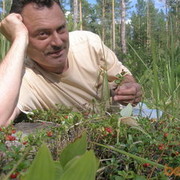 ���������� �������, ���� ������� Roy1, 55 ���, ������������ ��� ������, ����� � ���������, c�������� ���������