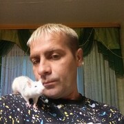  ,   , 41 ,   