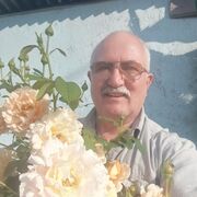  ,   , 65 ,   ,   