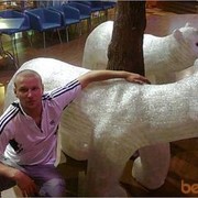 ���������� ������, ���� ������� ���� �������, 37 ���, ������������ ��� ������, ����� � ���������, c�������� ���������