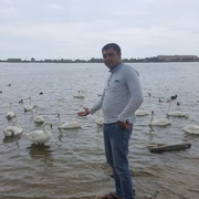 ���������� �����������, ���� ������� �����, 33 ����, ������������ ��� ������, ����� � ���������, c�������� ���������