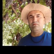  -,   Mansur, 47 ,   ,   , c , 