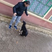  -,  vovcik, 35